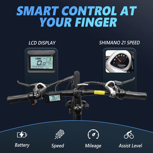 RAD POWER EBIKE LCD Display Electric Bike Display Electric Bike speed  controller